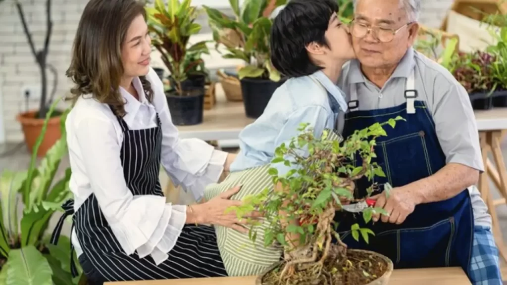 como as plantas ajudam a reforçar os vínculos