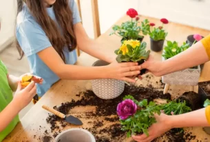 como as plantas ajudam a reforçar os vínculos