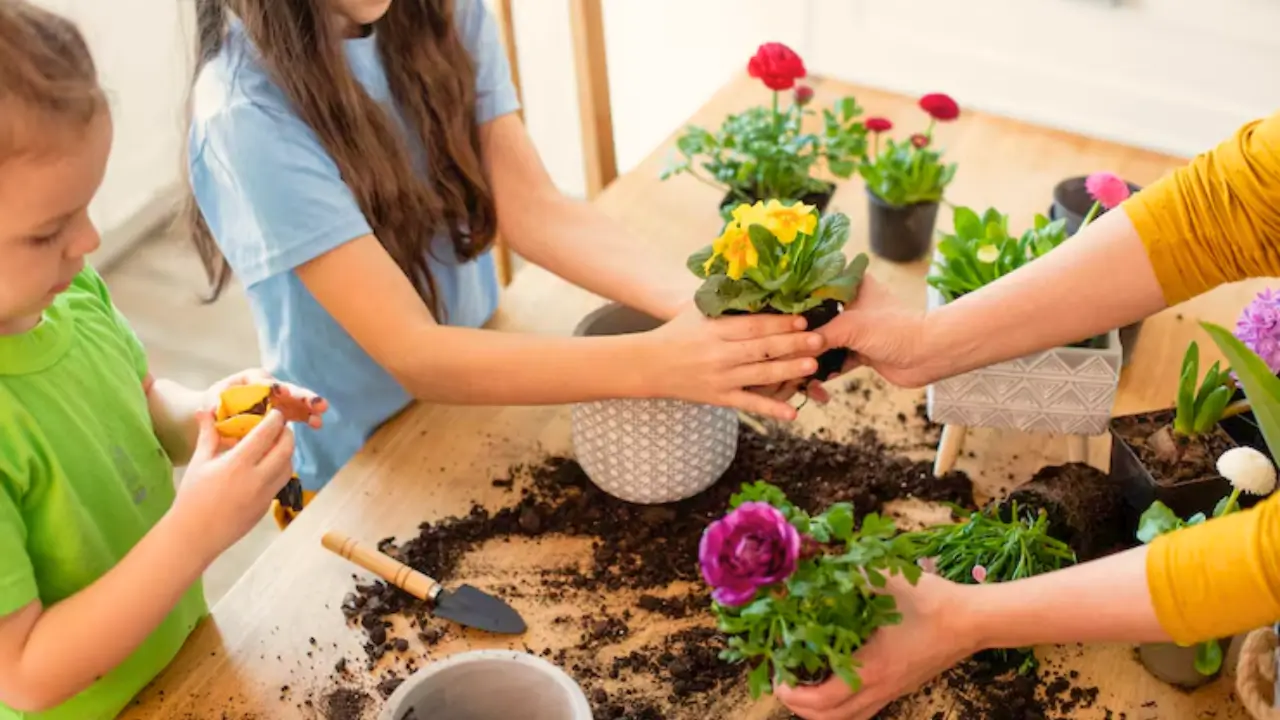 como as plantas ajudam a reforçar os vínculos