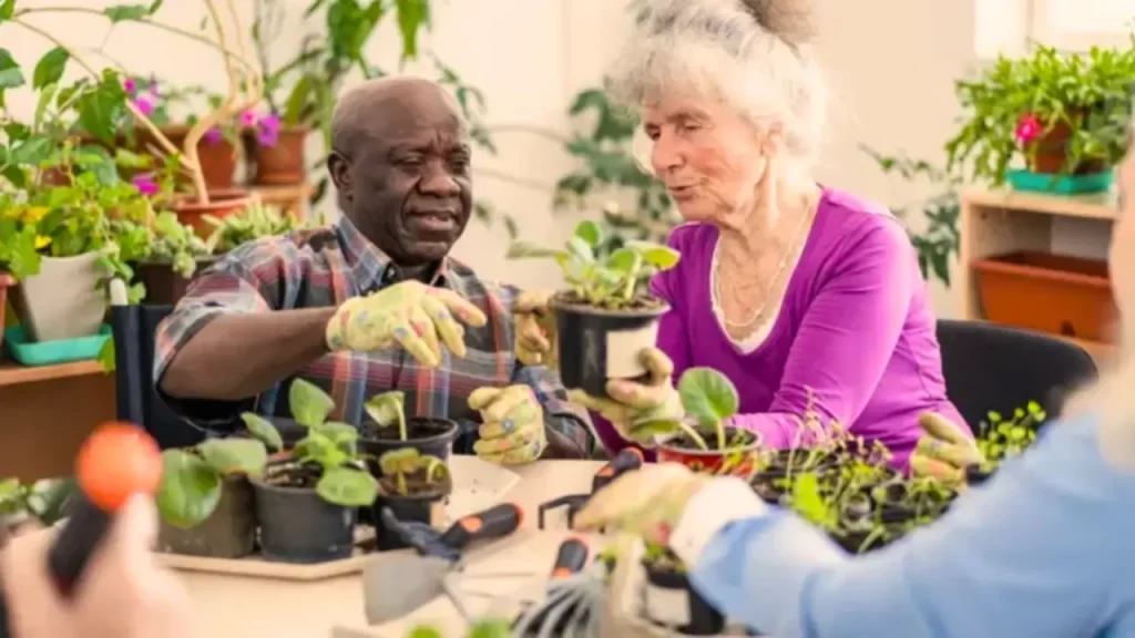 como as plantas ajudam a reforçar os vínculos