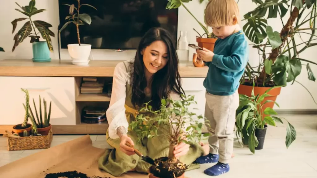 como as plantas ajudam a reforçar os vínculos