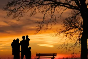 família desconectada