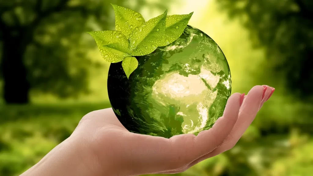 Dia Mundial do Meio Ambiente