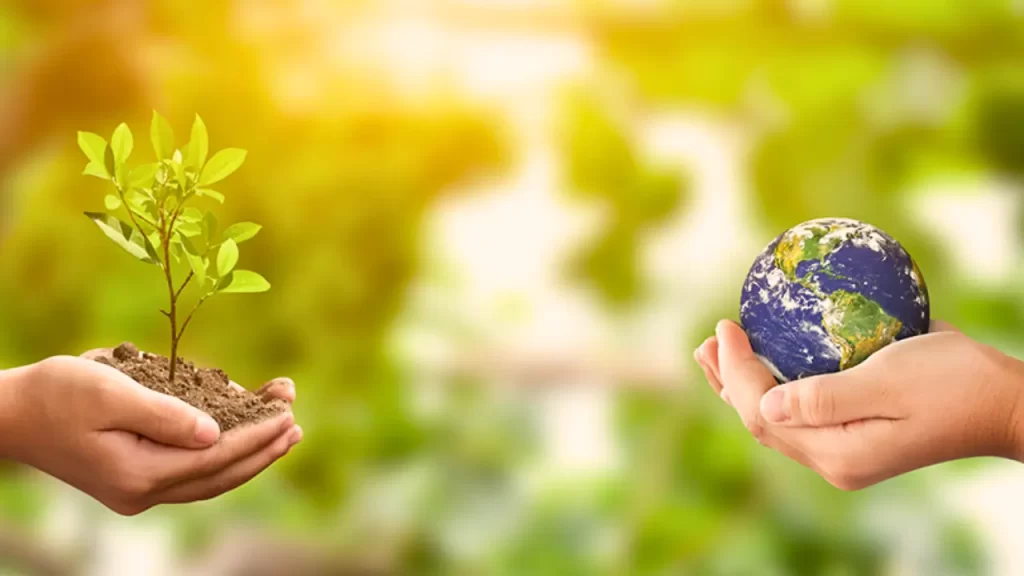 Dia Mundial do Meio Ambiente