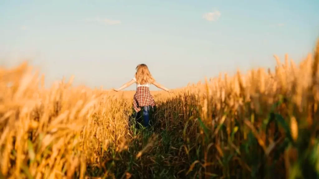 sentidos da expressão alecrim dourado