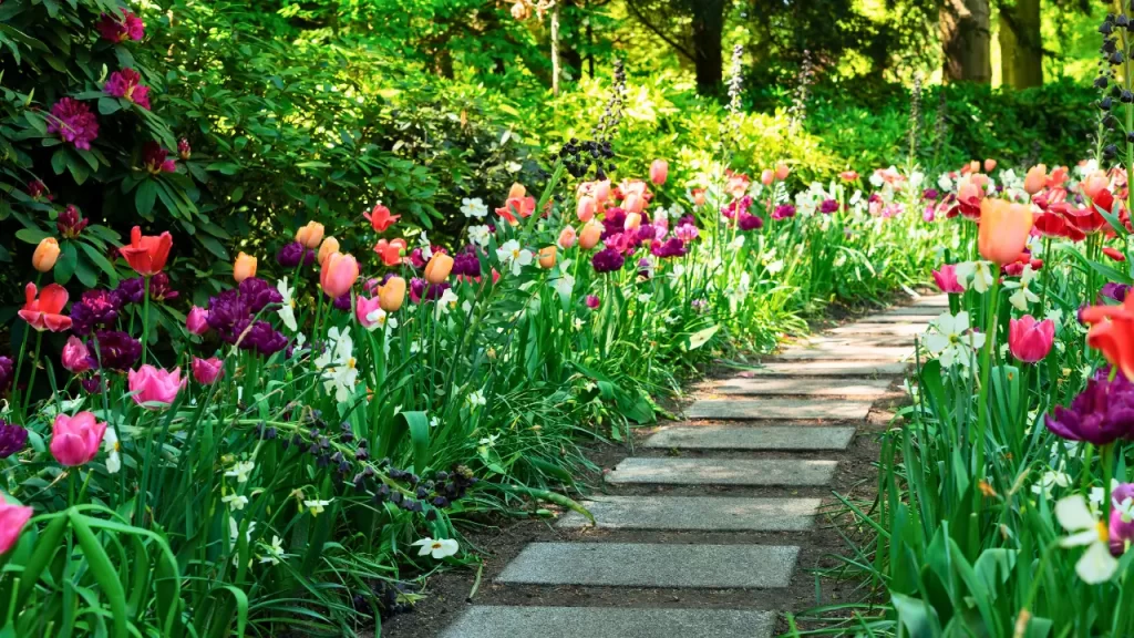 chegada da primavera