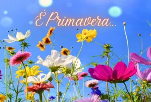 chegada da primavera