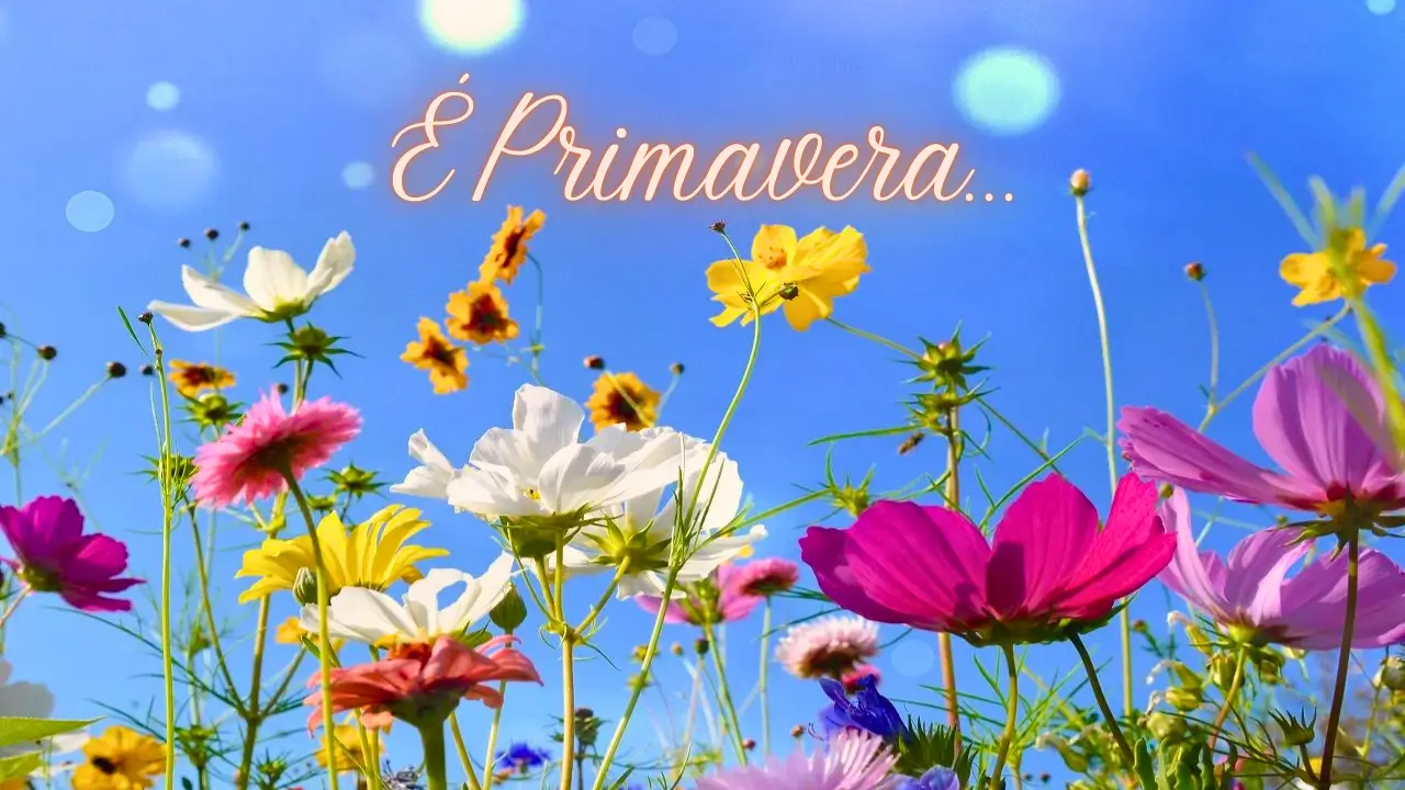 chegada da primavera