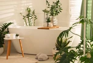 plantas resistentes ao vapor