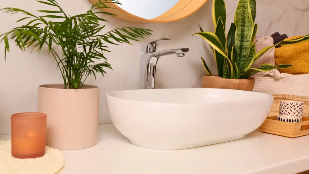 plantas resistentes ao vapor